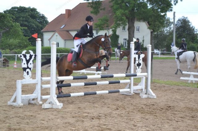 reitertag 2013 85